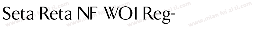 Seta Reta NF WO1 Reg字体转换